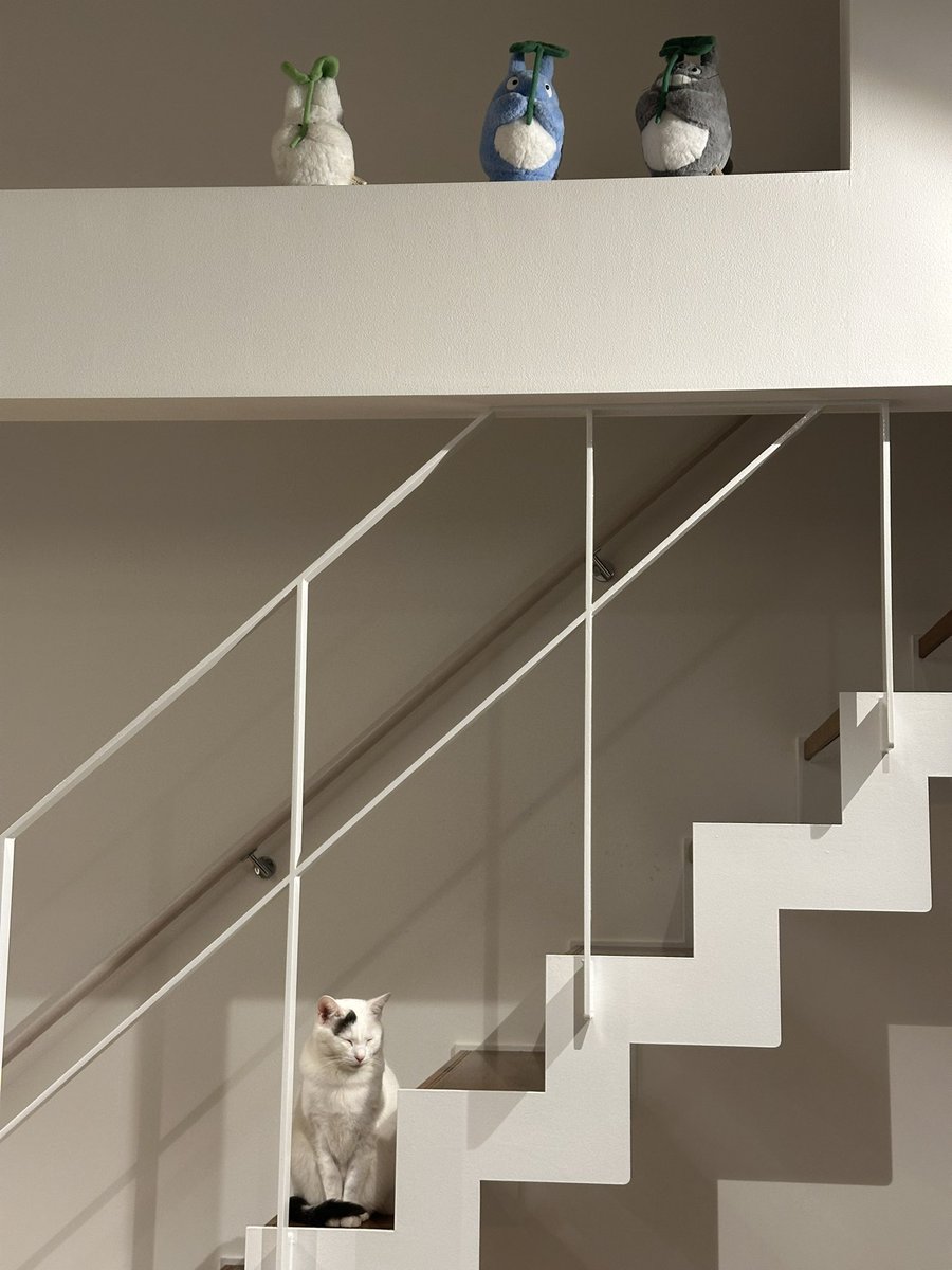 なんだその模様——— (@nana_q79) / Posts / X