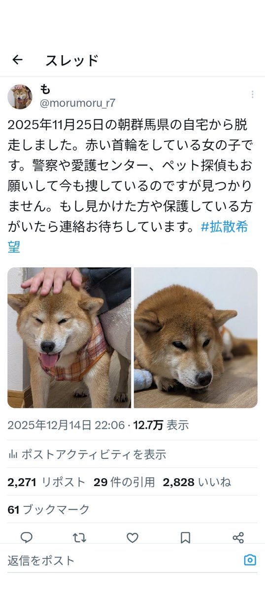 morumoru_r7's tweet image. 12/17日頃
福島橋南の道路、神社の横の道を南に向かい信号まで行かず又来た道を北に向かっていた。
24日15時半頃
1回目と同じ辺りを、南に向かって信号まで行かずに又来た道を北に向かっていた。
という情報がありました。
もしかしたら福島橋周辺にいるかもしれません。今日捜索します。