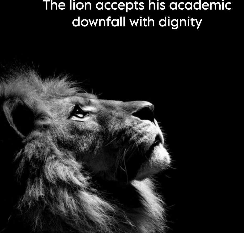 tubitak bursu gidenziiiiii