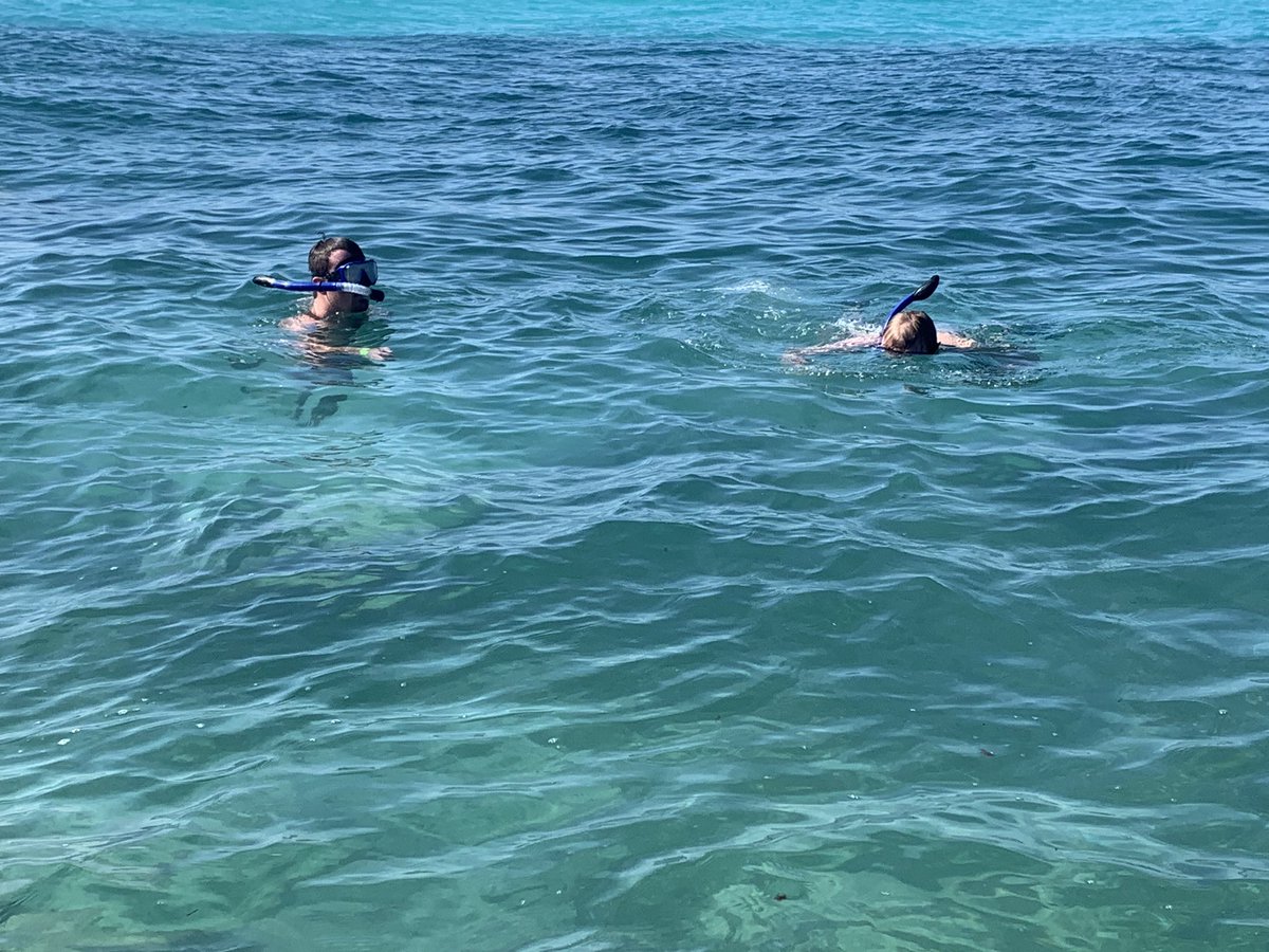 I went snorkeling on christmas!
