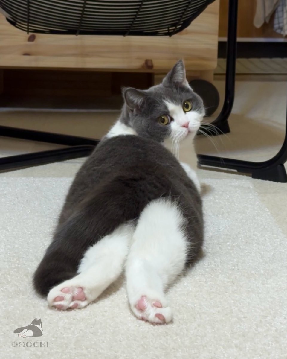 Post by おもち on X: 😍💖💖💖