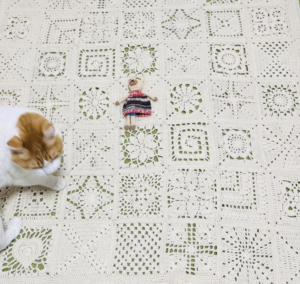 crochet_2525's tweet photo. #かぎ針編みアドベント2025完成お披露目 

笠石先生、素敵な企画ありがとございました

朝の投稿、名前間違えてましたので削除しました https://t.co/oWwSIIAkYD