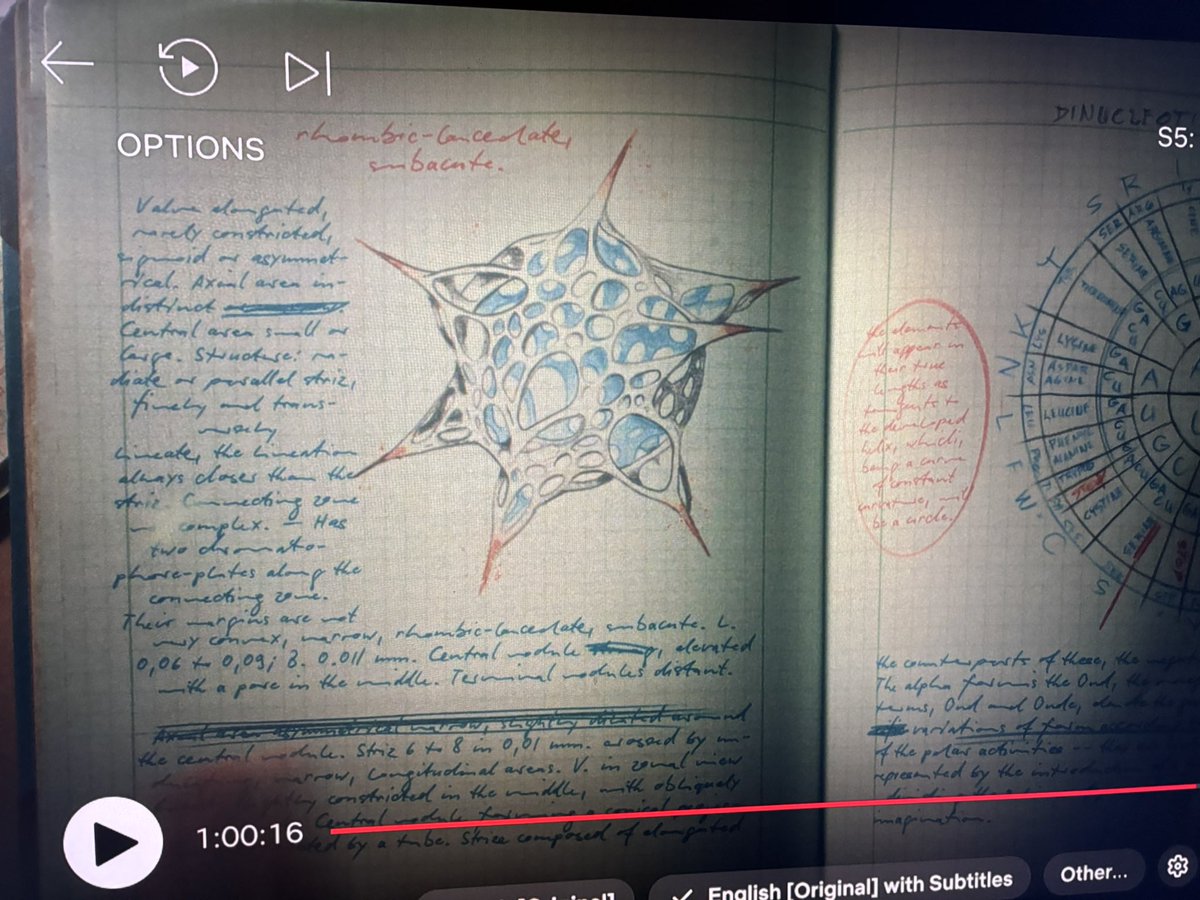 httpsemily_'s tweet image. IS THAT FUCKING HEXTECH? #StrangerThings5