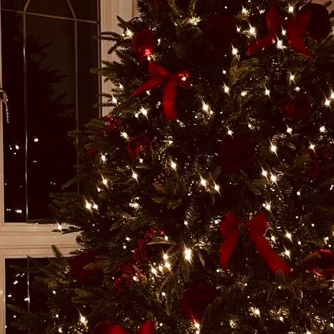 lllolitaa_'s tweet photo. ¡Llegó tu regalo!  #HyunLix os₊˚⊹🎁

Hj pasaba deprimido los últimos días del año, iba a ser su primera Navidad sin sus padres, su espíritu navideño no existía.

Pero ese veinticinco de diciembre a las doce de la noche, escuchó toques en su puerta.

Toc, toc… ¡Llegó tu regalo! https://t.co/KzRpvWuaO9