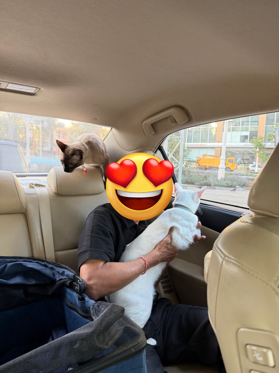 คือผมต้องทราบไหม 🐈‍⬛ tweet media