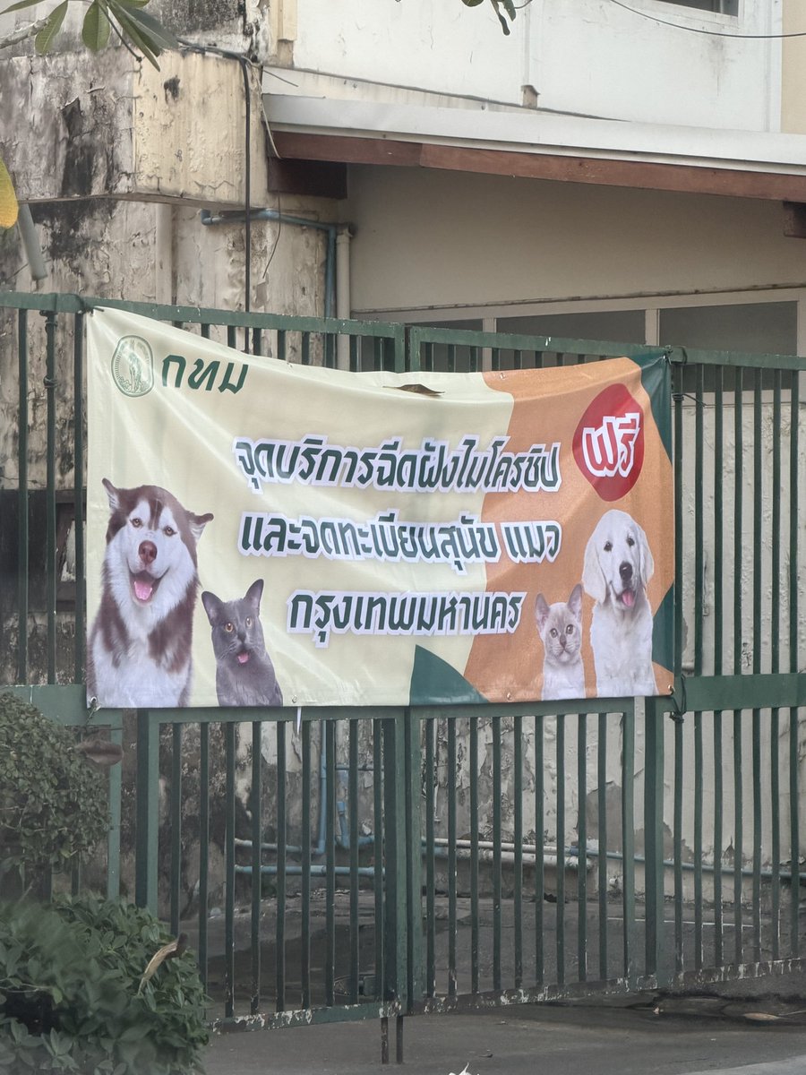 คือผมต้องทราบไหม 🐈‍⬛ tweet media