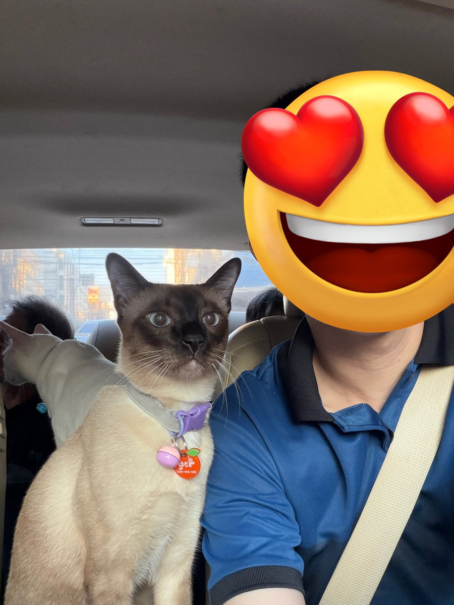 คือผมต้องทราบไหม 🐈‍⬛ tweet media