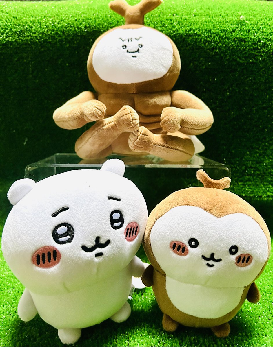 ちいかわらんど原宿店 🧸新商品のご案内🧸 ぽてたまぬいぐるみの新商品