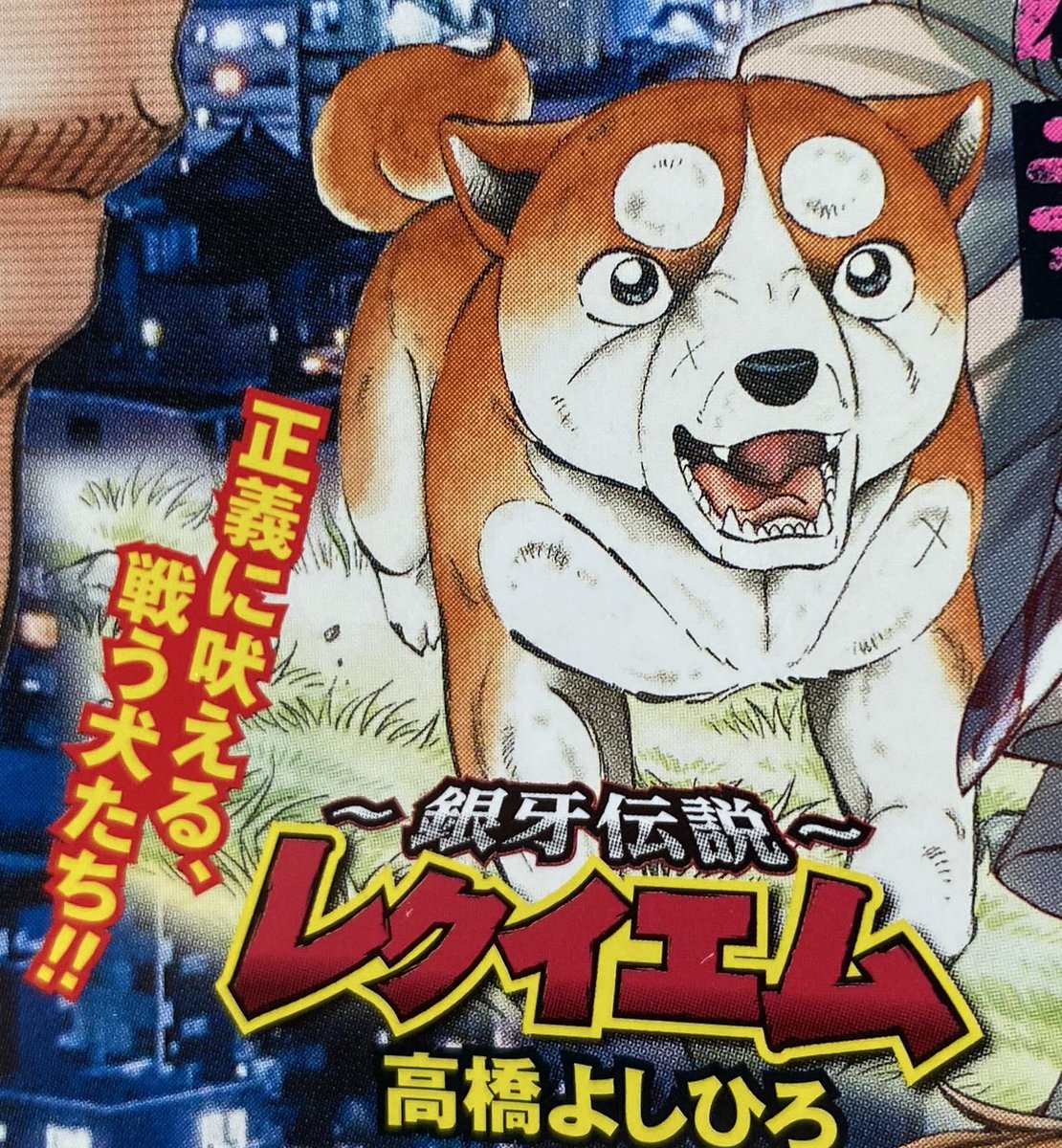 🌌高橋よしひろ先生新連載🌌銀牙伝説レクイエム🌌 (@katukatu210