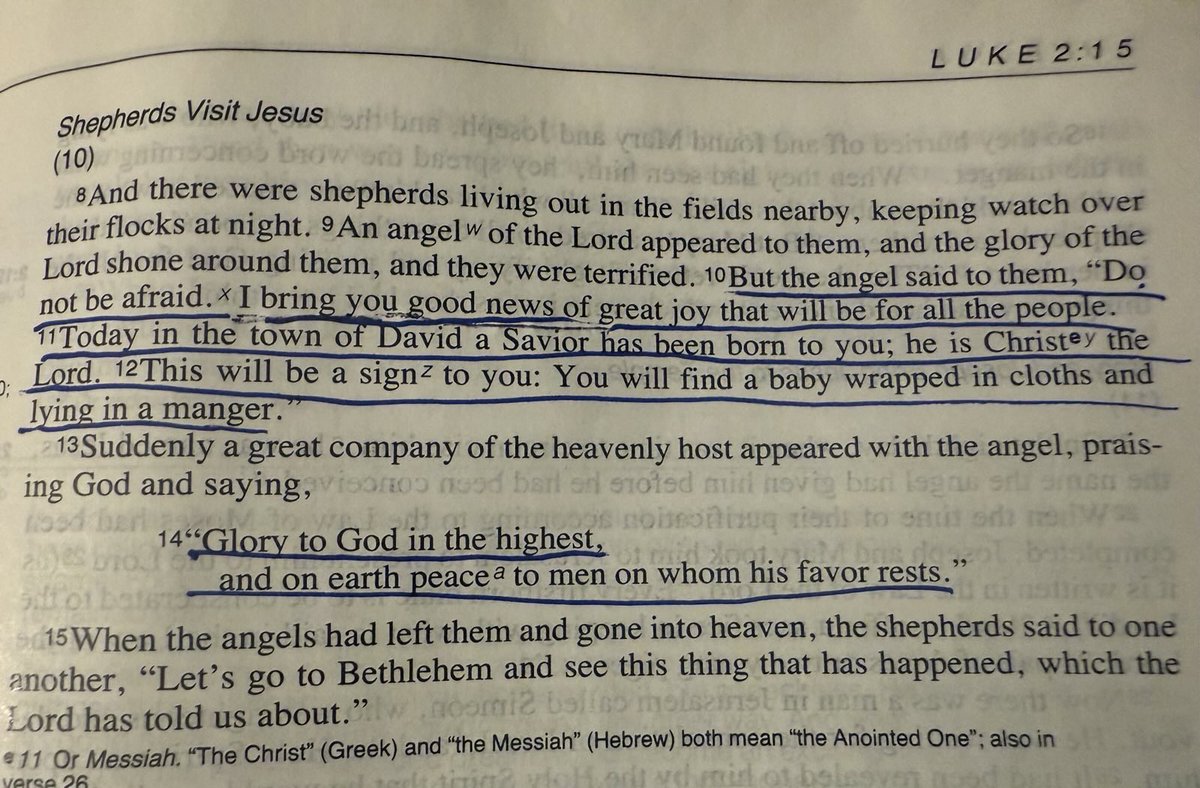 PierrePoilievre's tweet image. The reason for the season.

Merry Christmas.