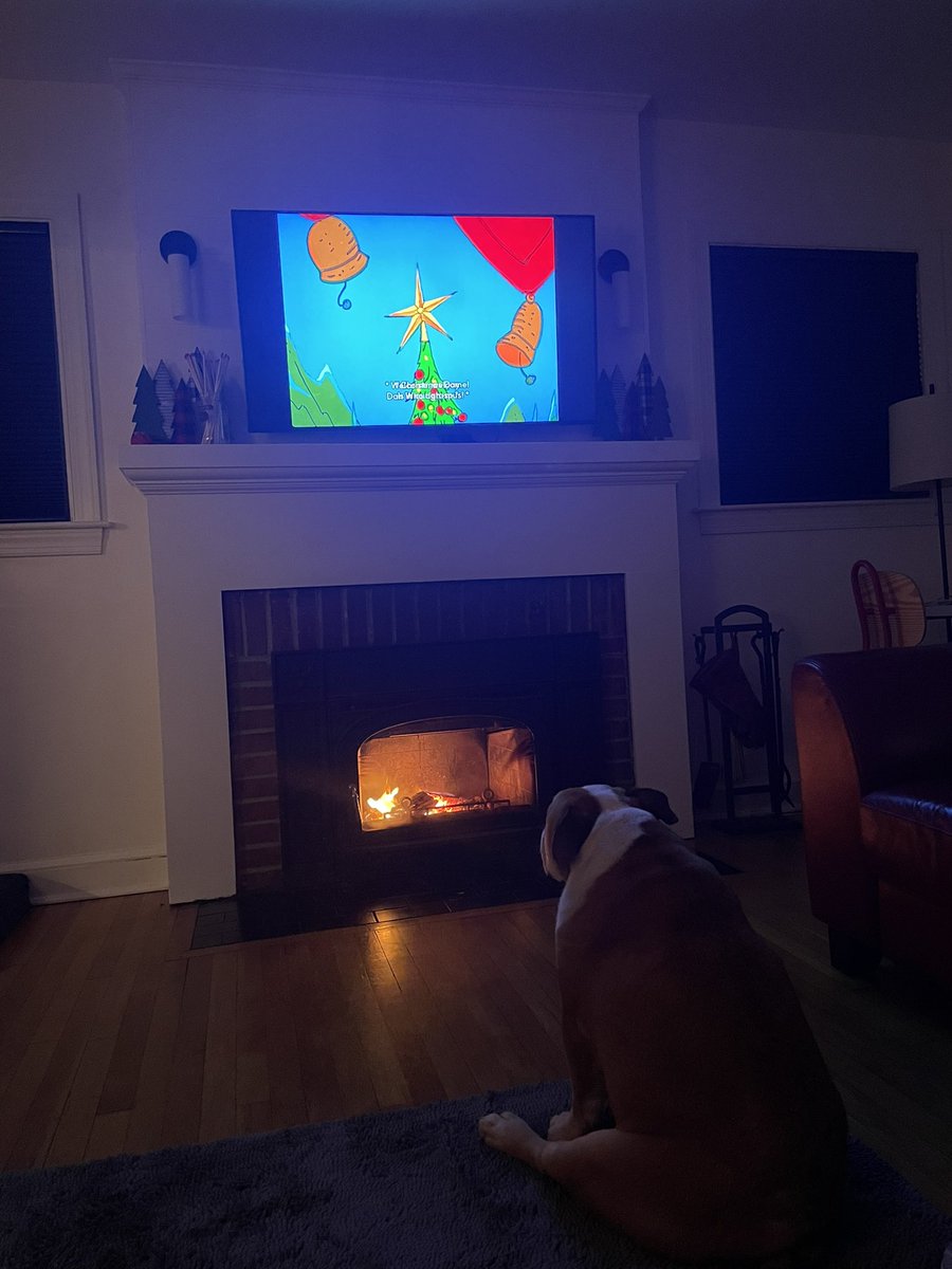 Three_Cone's tweet image. My fiancée’s dog is so locked in on The Grinch