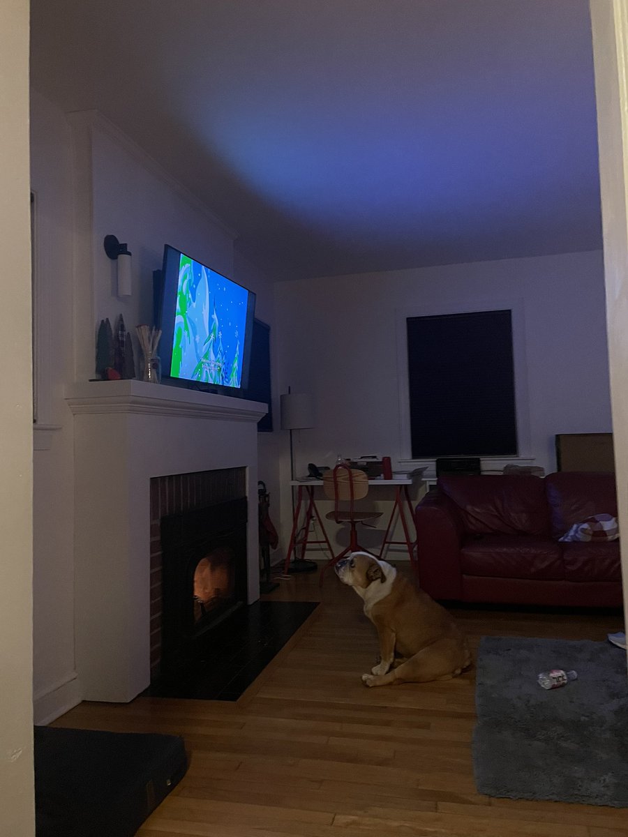 Three_Cone's tweet image. My fiancée’s dog is so locked in on The Grinch