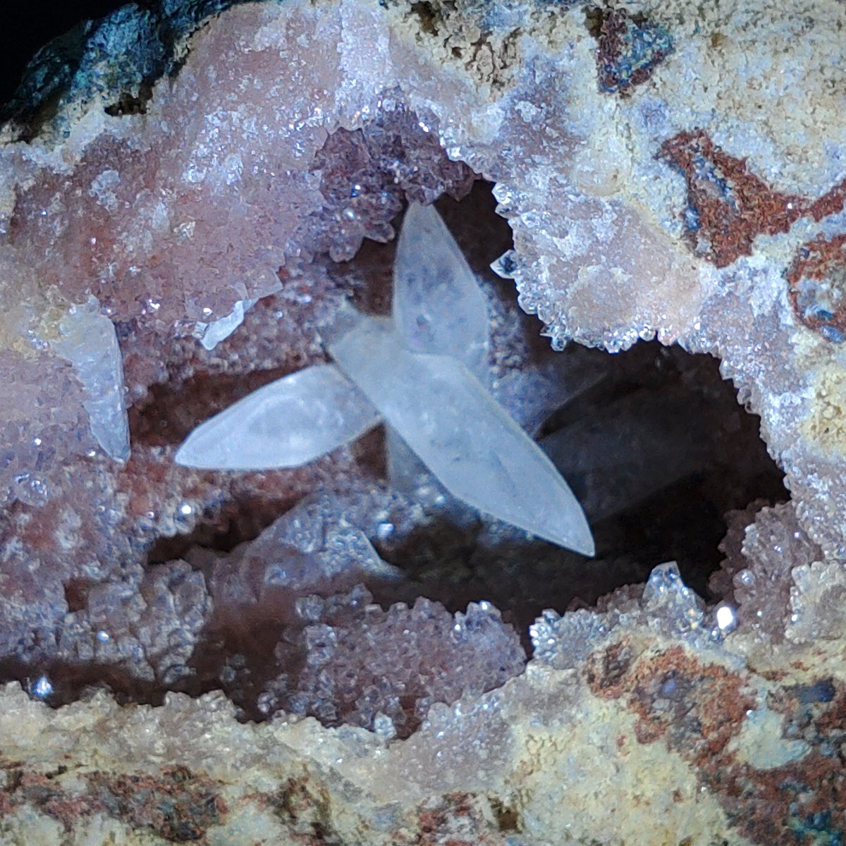 ういに教えるベストバイ2025 石沼民からはアメジストのドーム内に犬牙