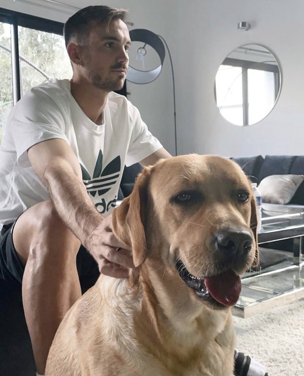 강인아 아직도 개를 무서워하니ㅠㅋㅋㅋㅋ
아니면 파비안 강아지랑 잘 놀아줬나...?