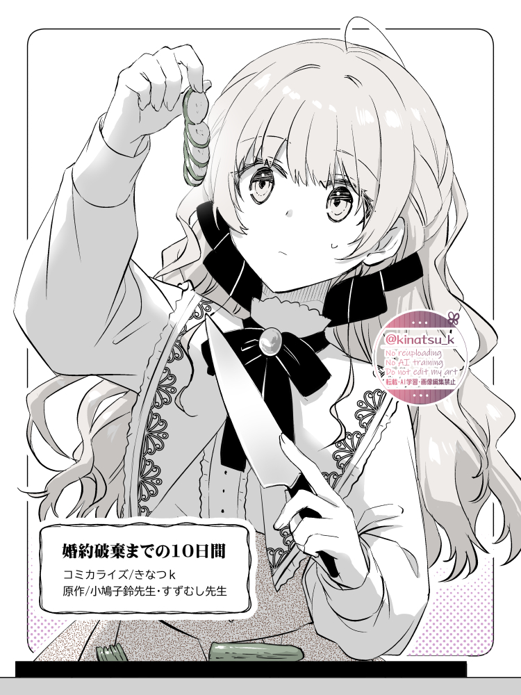 きなつk📕『婚約破棄までの10日間』連載中 (@kinatsu_k) / Posts / X