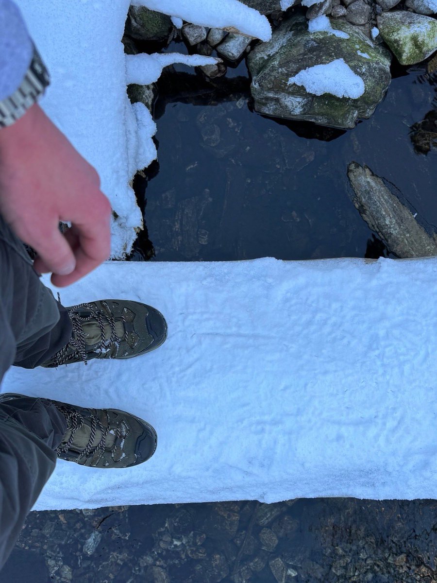 Driplomat's tweet image. I went outside