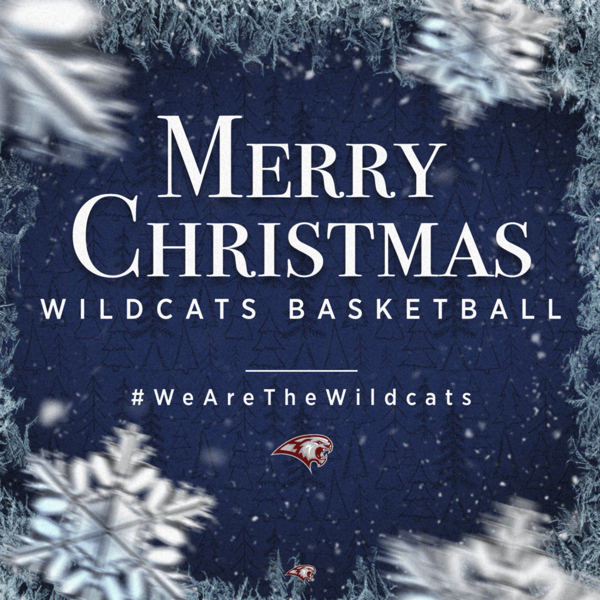 Warren County Basketball tweet media