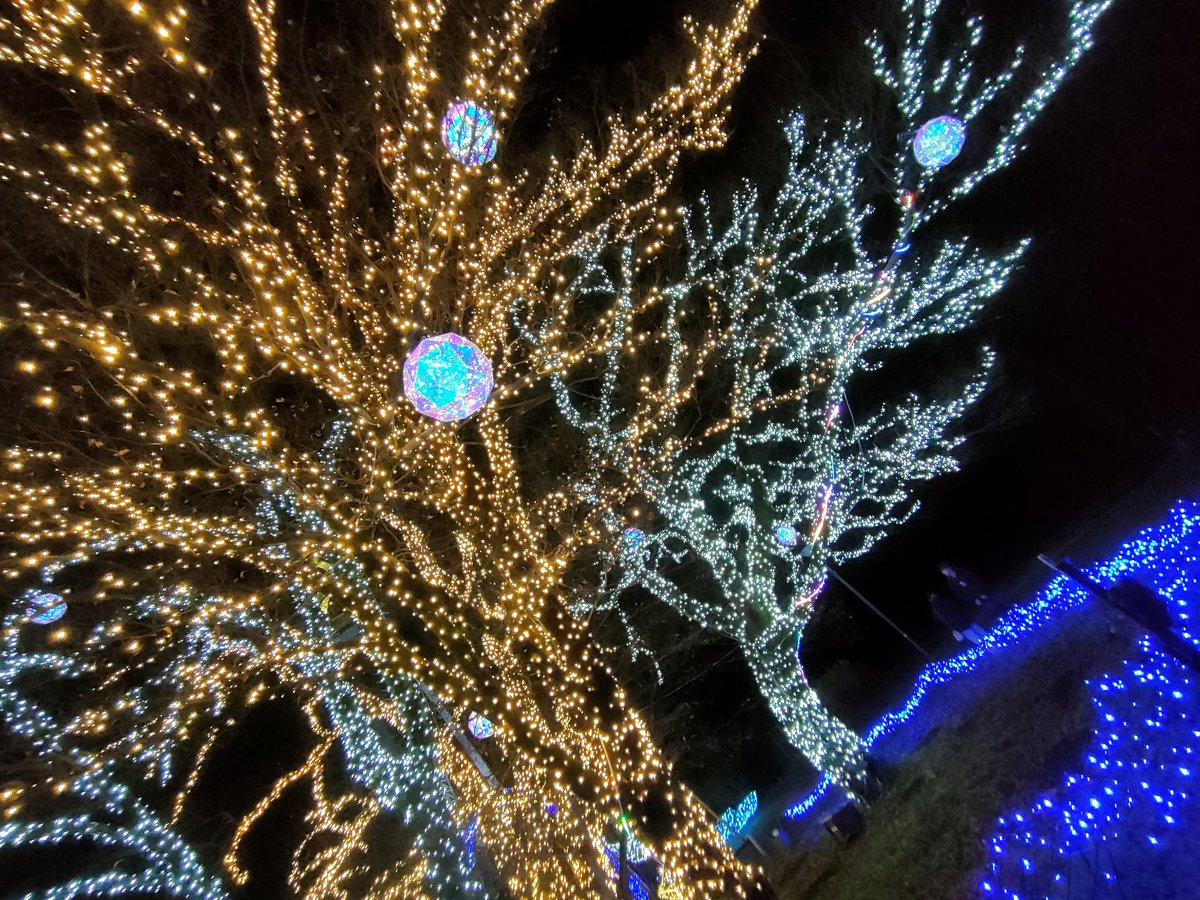 イルミネーションは、Instagramでたまたま流れてきたリールを見て、踏むと光って音が鳴るゾーンが気になって、木曽三川公園のクリスマスまでなので行ってました🎄✨

子ども達が大喜びの音と光のゾーン、どうなってるかわからないけど、あれは楽しくて、娘もずっとリピートしてました✨