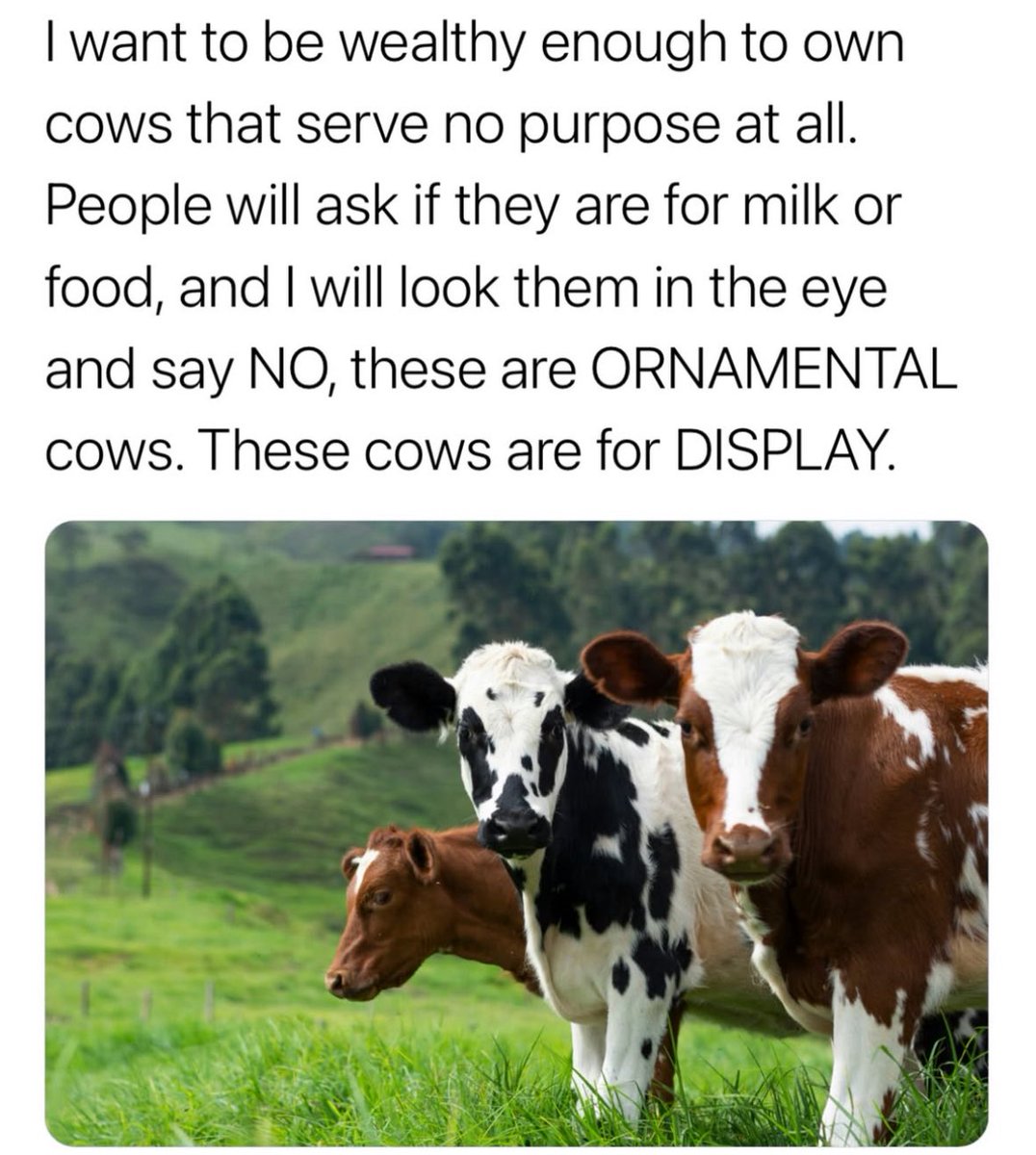 RespectfulMemes's tweet image. 