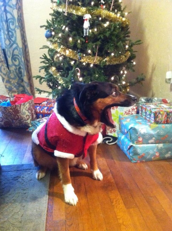 Agatha Chocolats tweet media