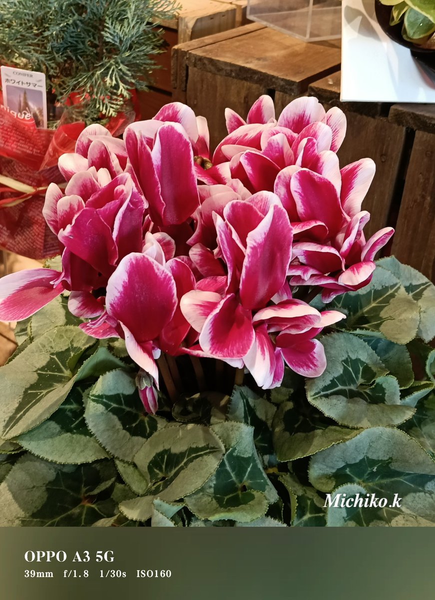 KEN (@Hbz5hpZhWhtBu78) / Posts / X