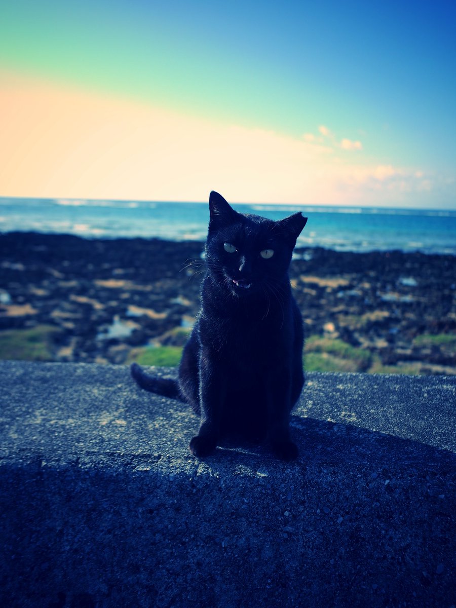 今回の沖縄撮影は、来年出す予定の
新作「echo 」の撮影で来ています。

思い通りに撮れてるか、現像するまで
分からない処が、フイルムの怖さでもあります。