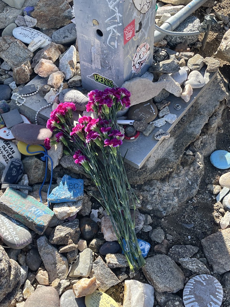 IceAndStretch's tweet image. First Christmas without Deb! Brendan and I just finished our 3.2 mile hike up to the cross and back! Placed some flowers at the base of the cross and shed some tears for Deb. Miss her so much!❤️❤️ “WE GOT THIS!”