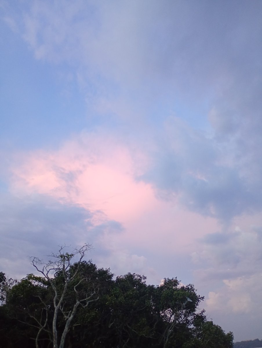 ooliversp's tweet image. 🙌🏽🧘🏽‍♂️