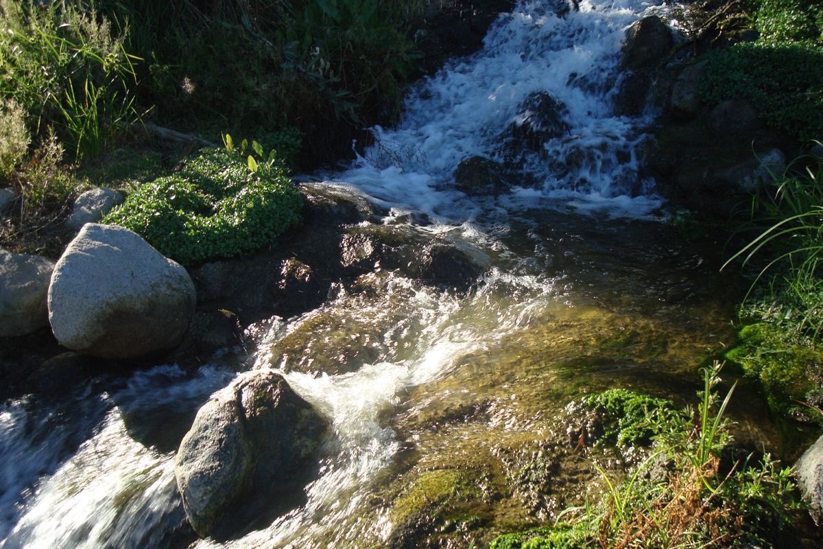 moriioo7's tweet image. of course we cant understand each other  u were grown with love i was grown with hate