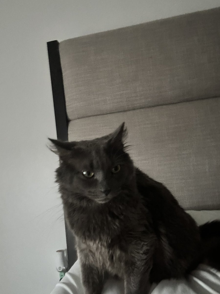 Jared Brown Sound (@jaredbrownsound) on Twitter photo 