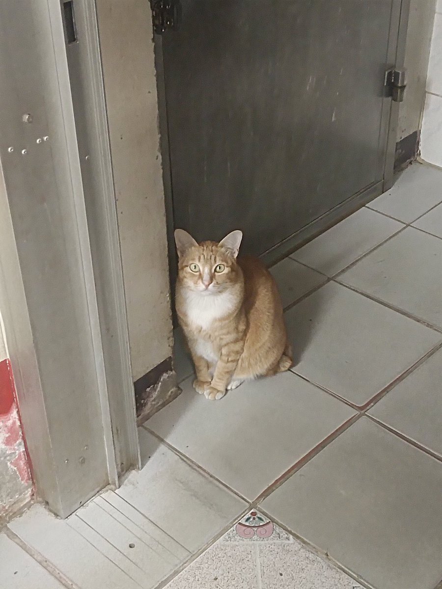 - (@xxxxmetang) on Twitter photo 