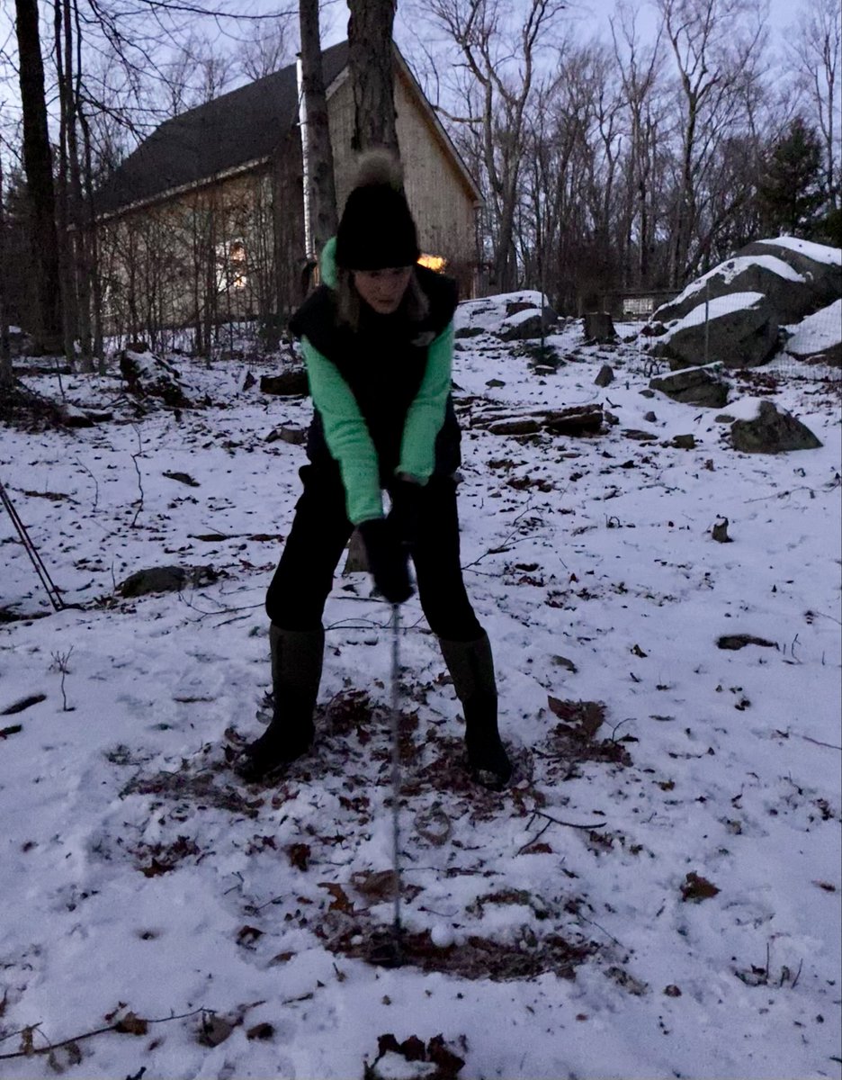 Back Yard Christmas Challenge #distance #tequilaforthewin