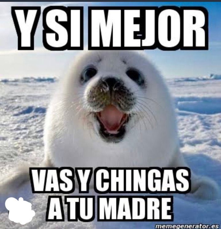 <a href="/tiopedritosola/">Pedro Sola</a> Inche viejo closetero y pend3jo,si le cambias el nombre a las mayonesas,experto en todo inche jote clasista!!!!