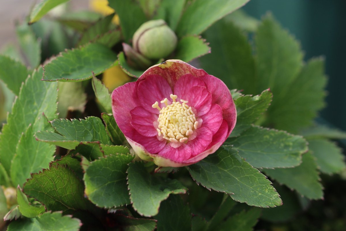 ohgi_nursery (@OhgiNursery) / Posts / X