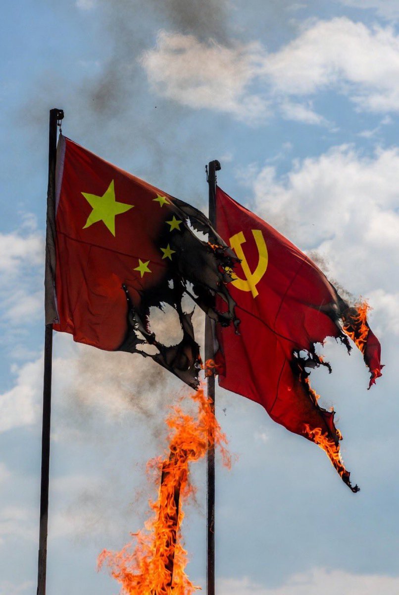 LuJun Quan tweet media