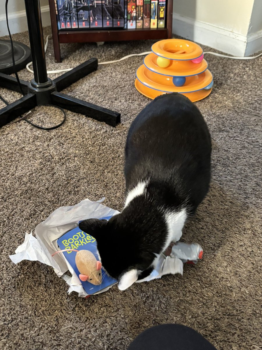 LindstheReader's tweet image. Merry Christmas from Vilma and Hoomom!