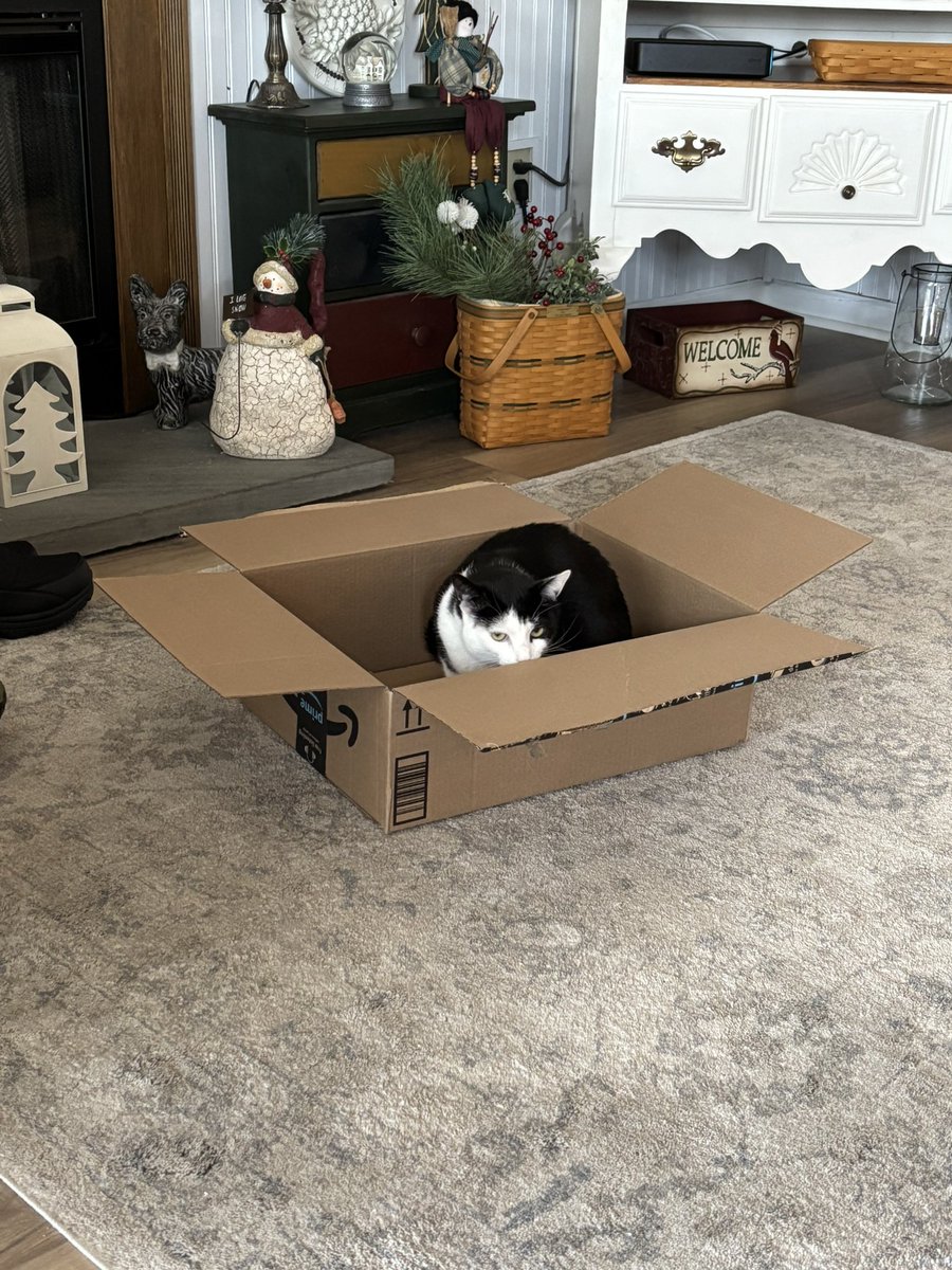 LindstheReader's tweet image. Merry Christmas from Vilma and Hoomom!