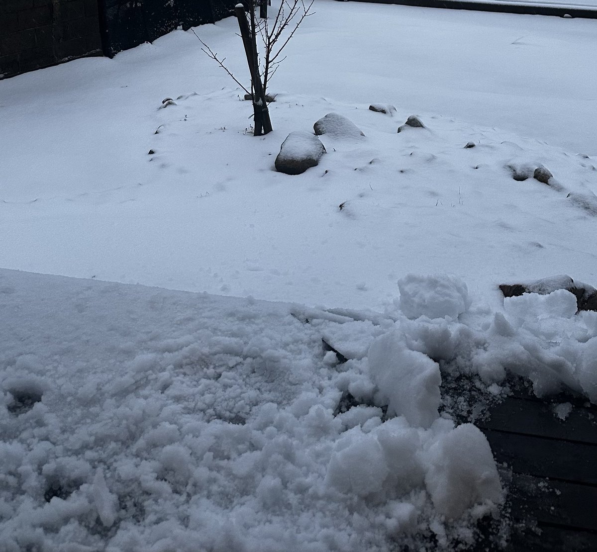 おはようございます