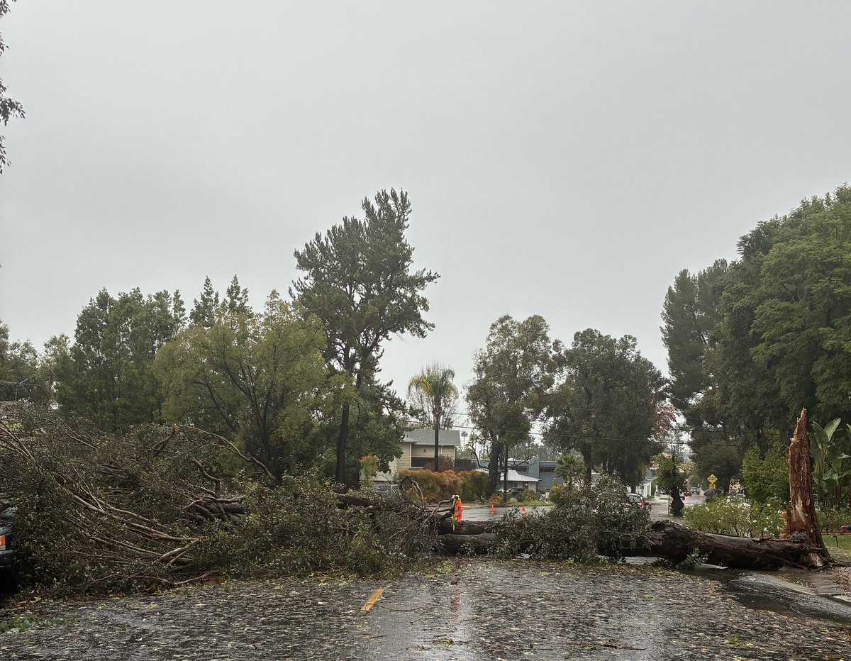 UnifiedLA tweet media