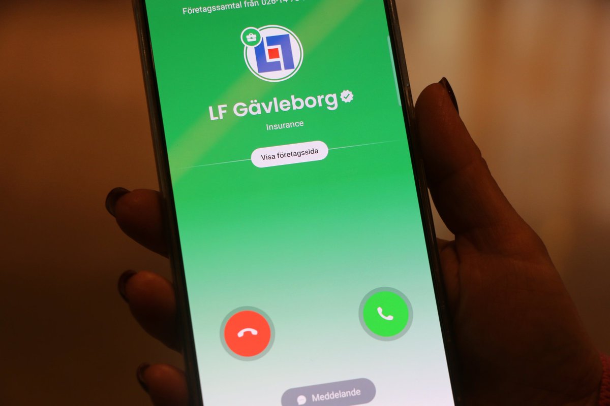 Alan Mamedi tweet media