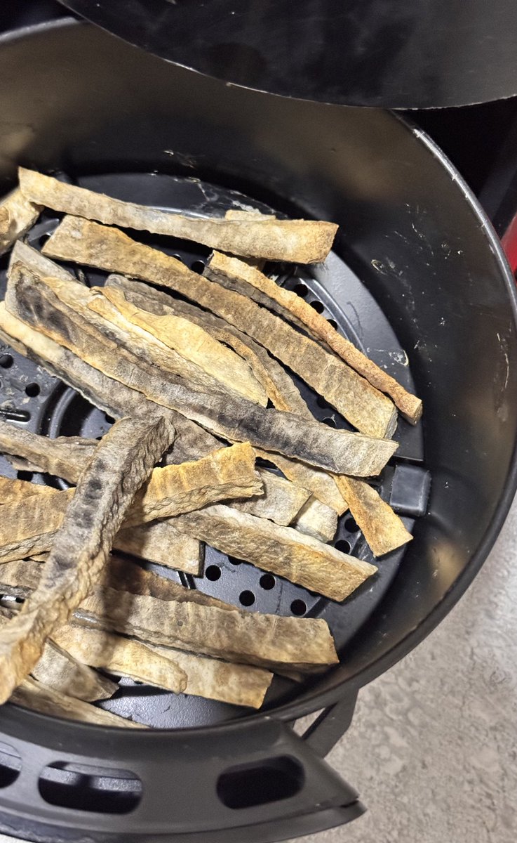 Harley knows you are lonely and so she tweet media