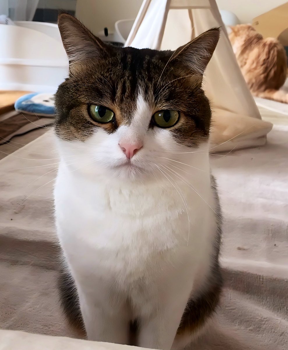 Friday's OHAYO GOZAIMASU☀️🐾 パパとママは年末年始休みまで後二日