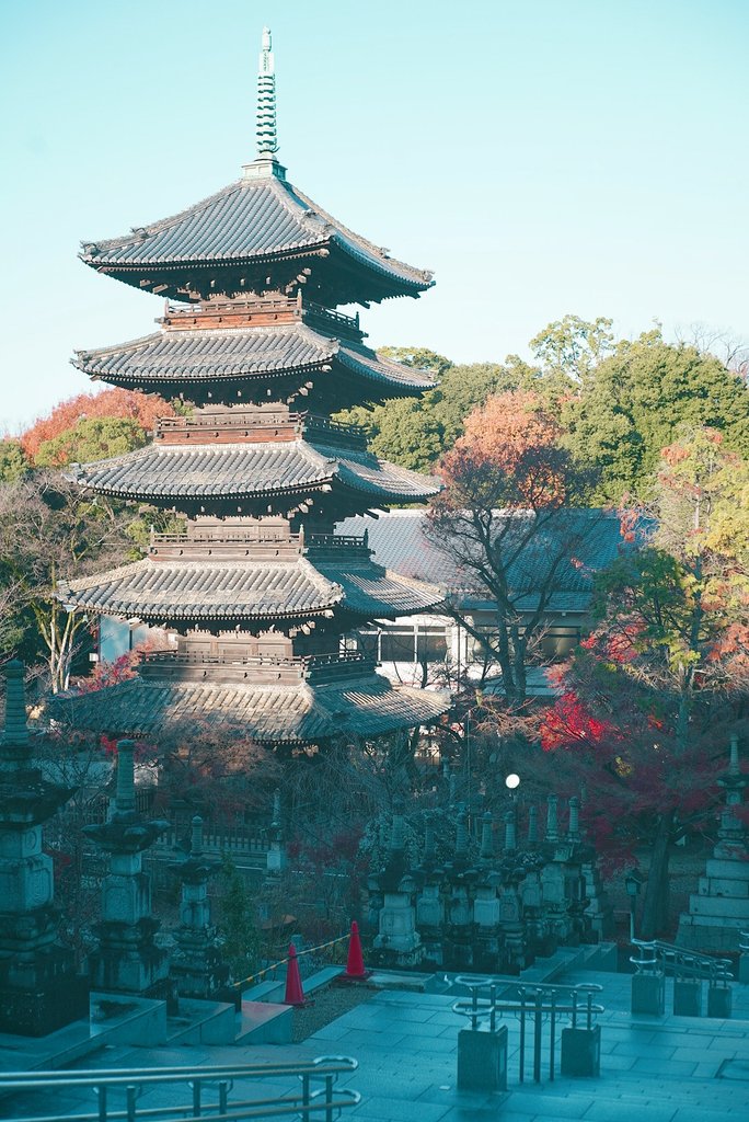 名古屋の五重塔は美しい🍁 12月18日、愛知県名古屋市 八事山 興正寺に