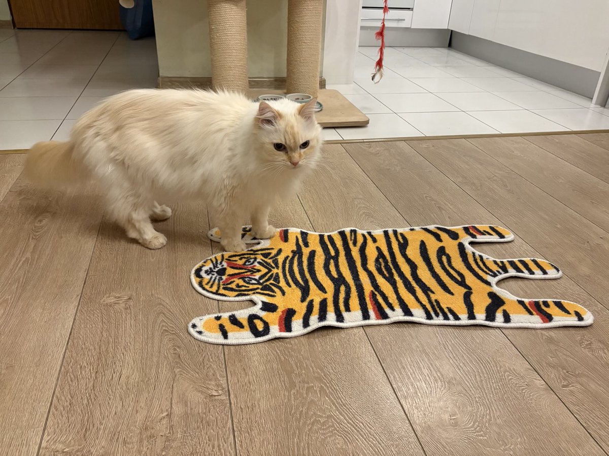 Ruslan Ablyakimov tweet media