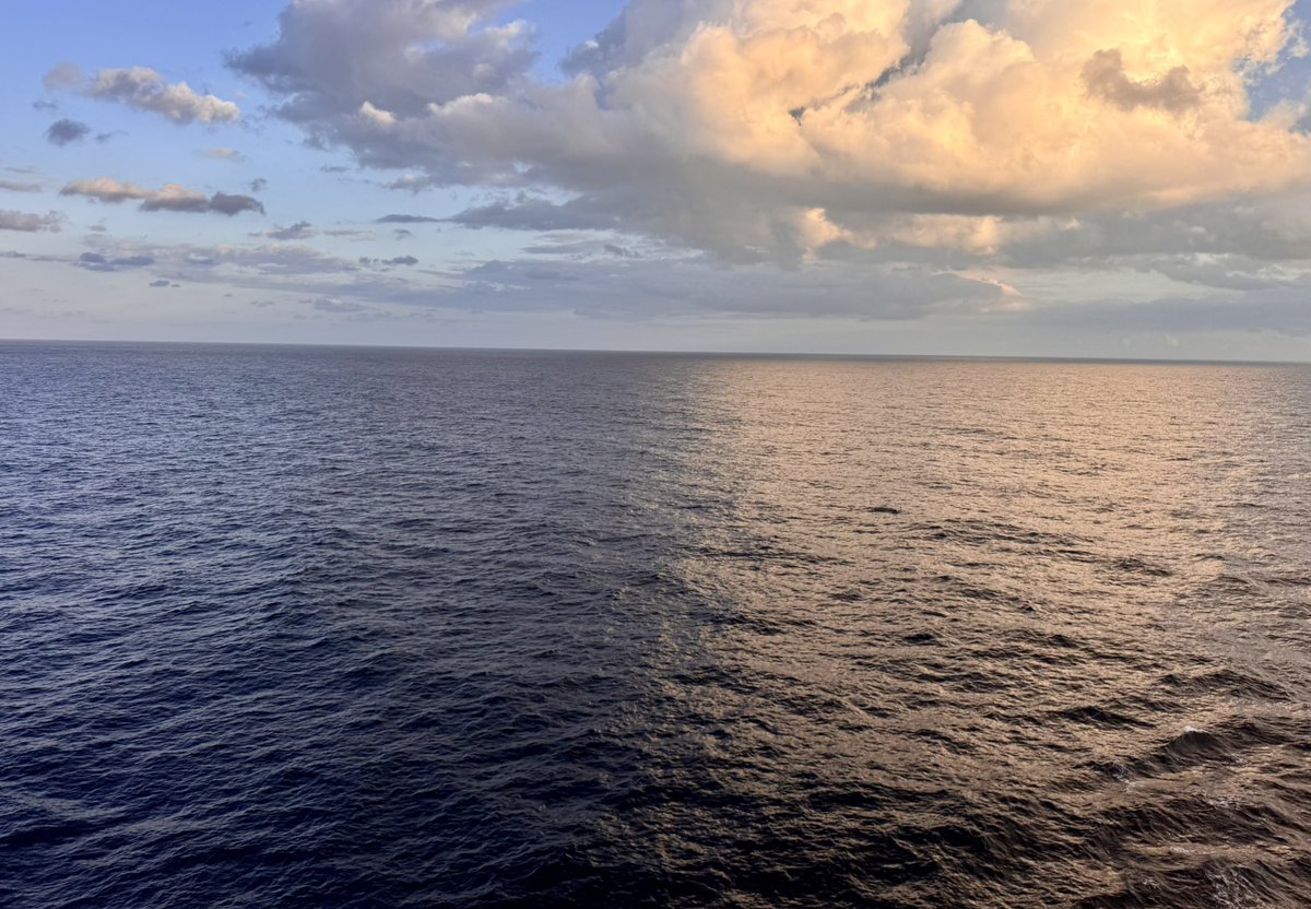 StayFlyLife's tweet image. The ocean truly brings me peace