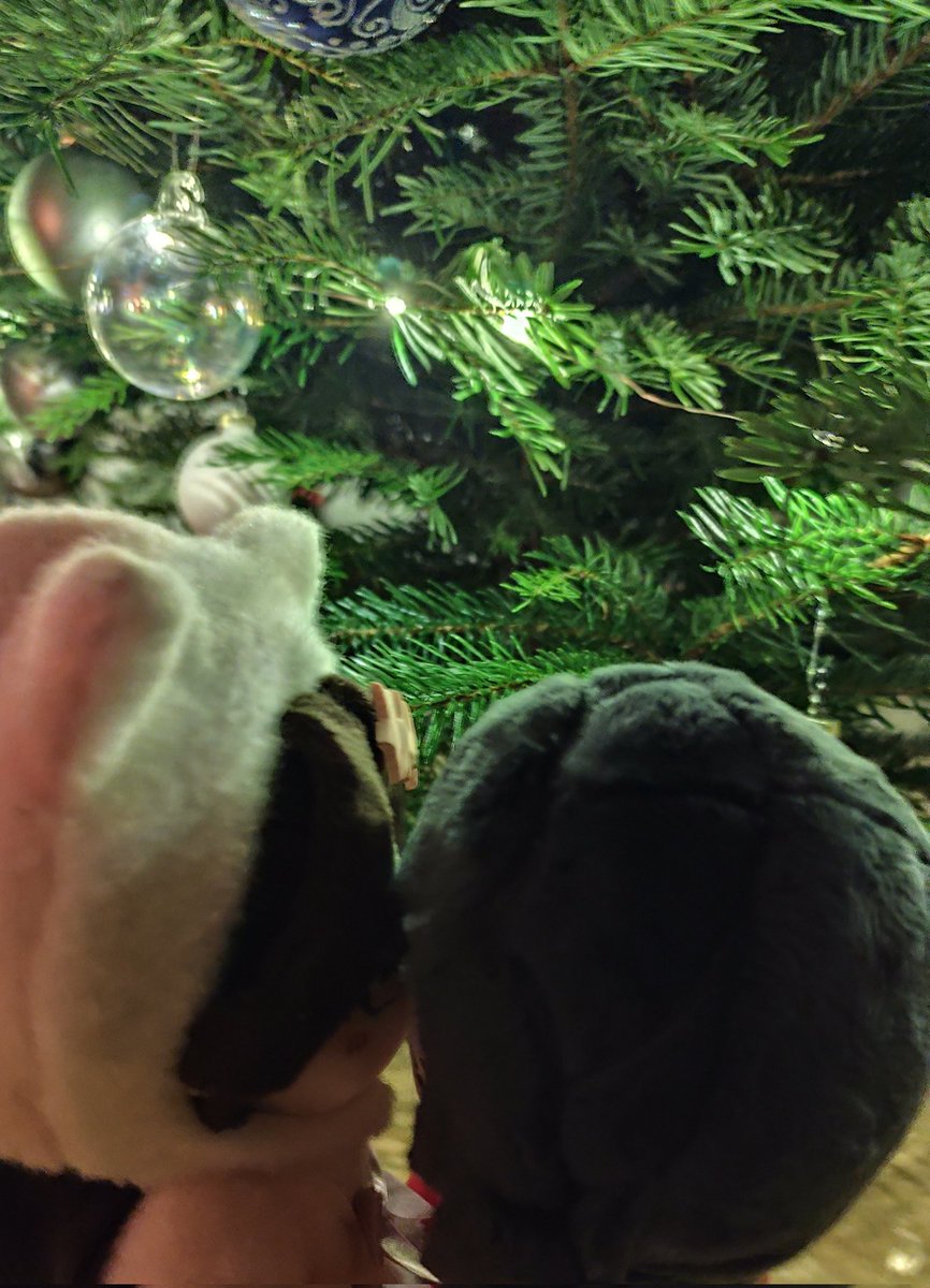 peachydianxia's tweet photo. A little belated Merry Christmas from the smolsโ๏ธ๐๐โ
#tgcf #minidolls https://t.co/ODDjYVjQO9