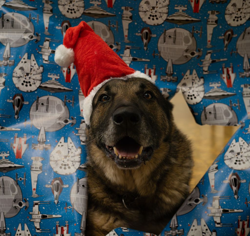 UCLA Police Department tweet media