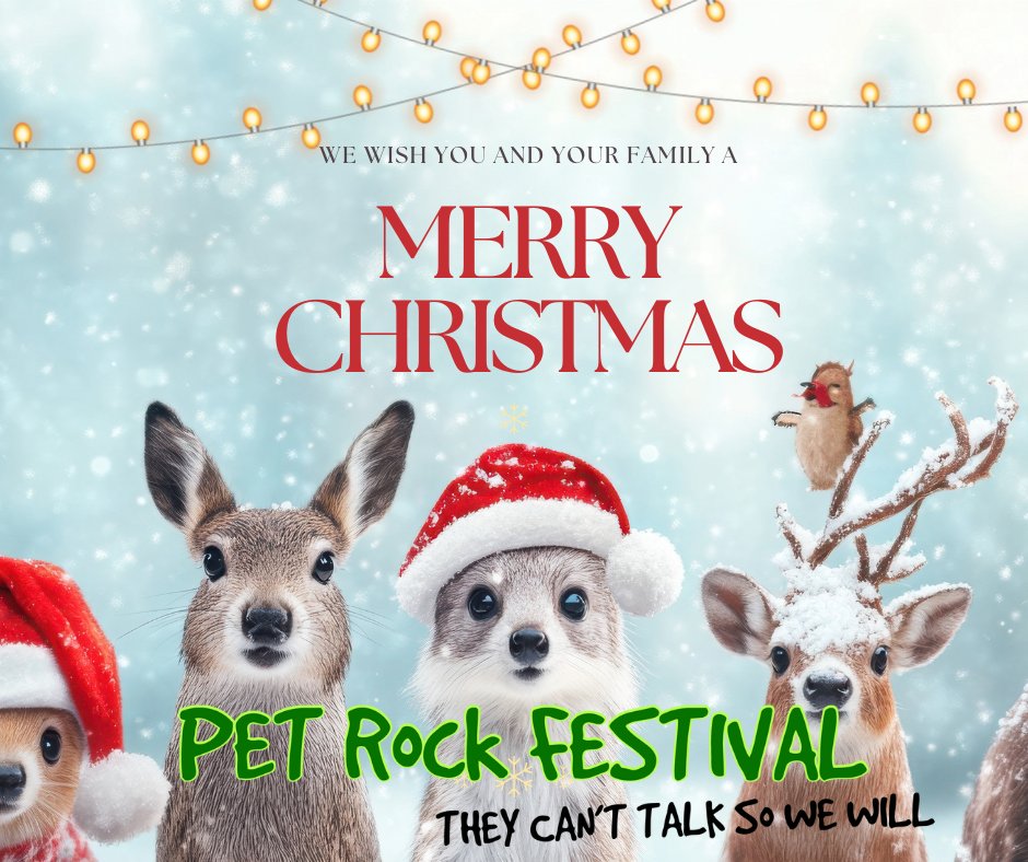 Merry Christmas from Pet Rock Fest. We hope you are having a safe and wonderful season. Thanks for standing up for animals all year. Sending holiday love to you and every creature who makes your home a little better.