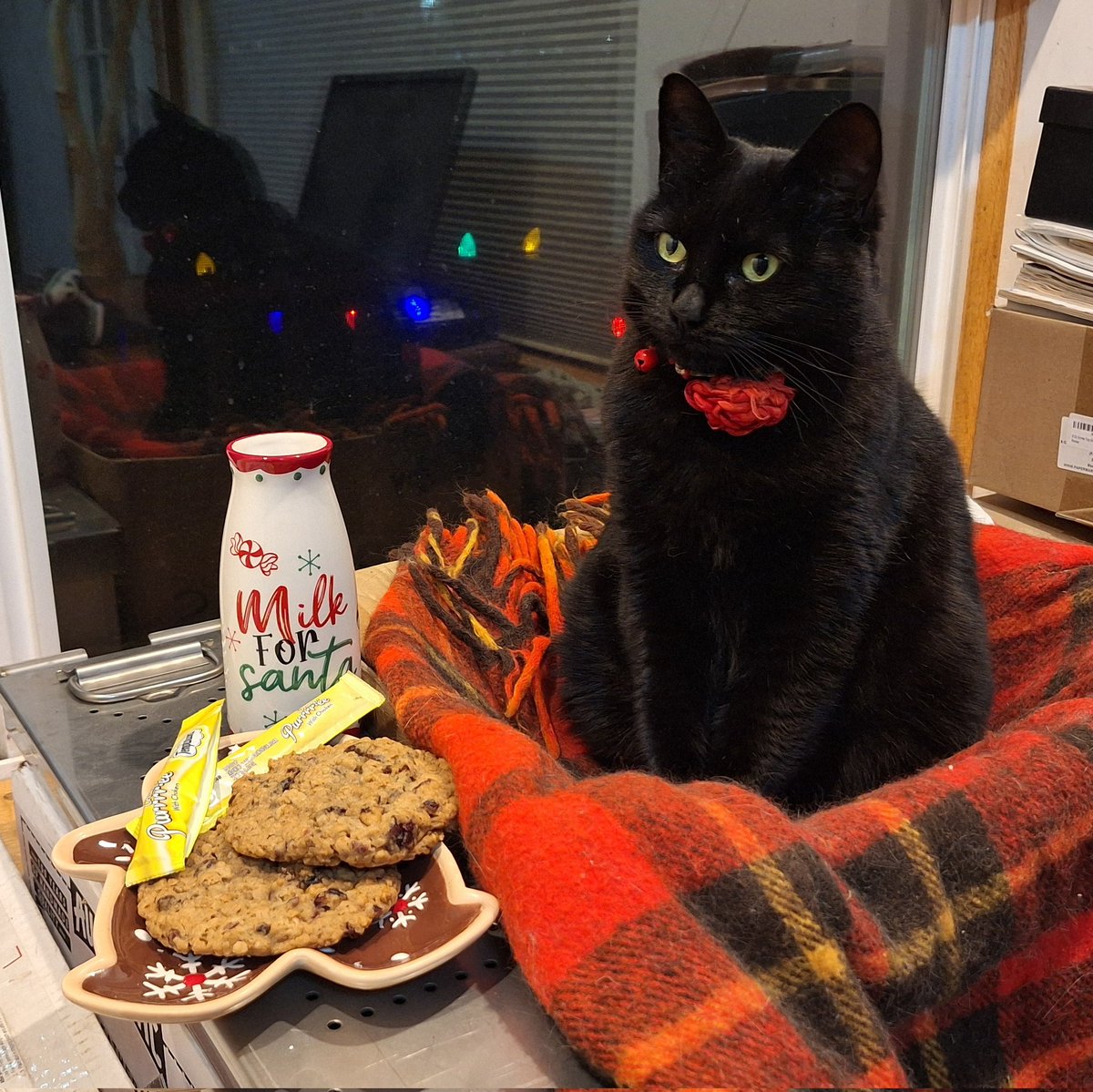 Merry Christmas from our family to your's!💕🎄