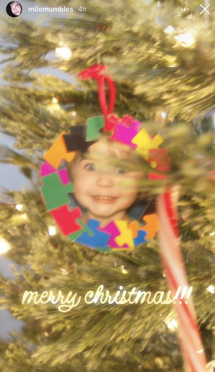 MumblesUpdate's tweet image. Merry christmas from MiloMumbles!